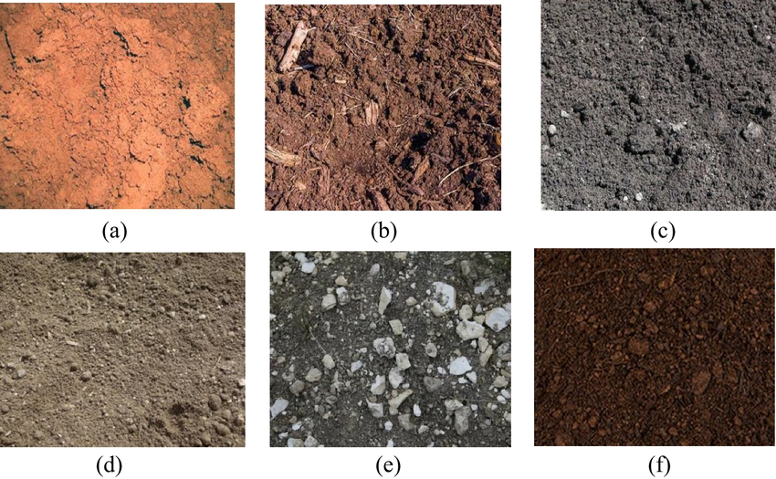Type D Soil